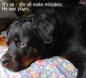 It is ok that we make mistakes - it is human and ok that we make mistakes sometimes. It is ok that we make mistakes - it is human and ok that we make mistakes sometimes.