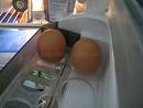 eggs in the fridge - we keep the eggs in the fridge when it is summer, but not in winter.