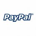 Paypal - Paypal is one of the most popular online paying method.