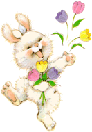  A picture of a bunny rabbit - a picture of a bunny rabbit