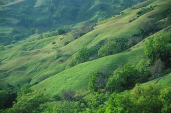 Green hills - So beautiful to see these lush green hills Green hills - So beautiful to see these lush green hills