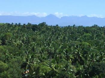 scenary - view from my balcony