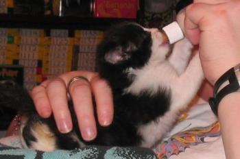 Oliver - See, I win!