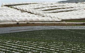 water banking - Water scarcity clouds California farming&#039;s future