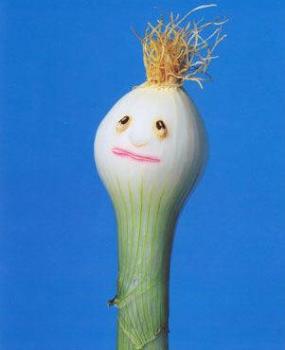 Onion Head - onions make my reflux rear it's ugly head