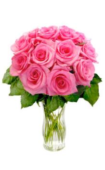 pink roses - pink roses in a vase