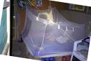 Using Mosquito Nets to Prevent Mosquitoes - Mosquito nets are good, however, one has still the problem of mosquitoes if the house is not screened. The best way is to screen the entire house....