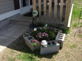 Annual bed - My new tiny annual bed...adds a splash of colour to my dead lawn that I have to fix