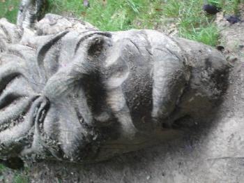 God's Head - This is the head of a God or something, carved out of a fallen tree in Buchan Country Park. God's Head - This is the head of a God or something, carved out of a fallen tree in Buchan Country Park.