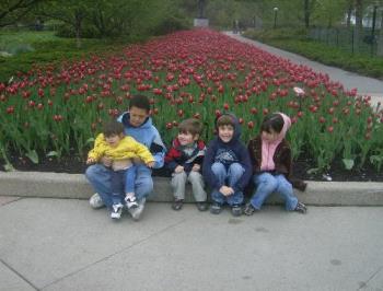 tulip festival - My kids at the tulip festival