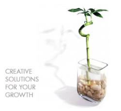 Growth - Mylot grows