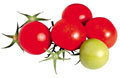tomatoes - fresh n tender tomatoes