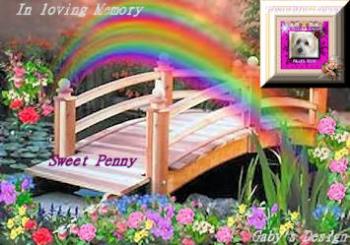 Sweet Penny - She is always with you 