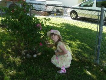 My rose bush - My rose bush with Chey next to it