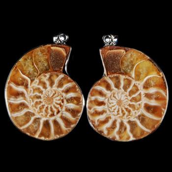 My first item bought on eBay  - Here&#039;s my first item bought on eBay: a pair of ammonite beads, that I&#039;m really pleased of