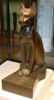 Egyptian cat - Cat from Egypt Egyptian cat - Cat from Egypt