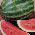 water melon - water melon,fruit