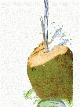 coconut water the natural cold drink - i love the cold coconut water the most in the hot summer days to save myself from the hot and scorching sun rays.