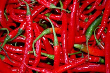 Hot chili pepper - Do you like spicy food? Hot chili pepper - Do you like spicy food?