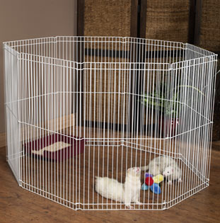 Ferret Pen - This is the type of pen you need for ferrets. Notice there is only one horizontal bar halfway up the vertical bars, that prevents them from being able to climb up and over !! These pens fold up and are easy to store and can be used inside or out.