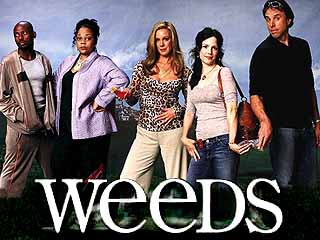 Weeds Showtime - There on season 5 now Weeds Showtime - There on season 5 now