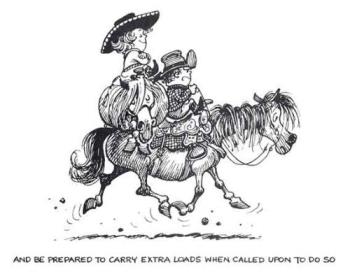 Thanks Thelwell - Thelwell Pony Thanks Thelwell - Thelwell Pony