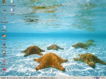 My wallpaper - Looks so realistic that you want to walk right through the water. My wallpaper - Looks so realistic that you want to walk right through the water.