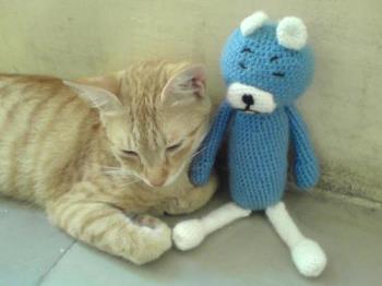 My cat papa - My cat papa with her doll made by my daughter.