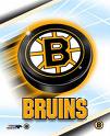 Boston Bruins logo - Boston Bruins