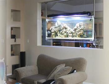 Aquarium - Ceiling mounted aquarium