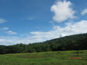 fields and clouds - a view of a ricefield on a blue sunny cloudy sky background.