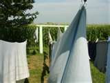 Air dried  - Wash smells great when hung outside to dry.Plus saves money!