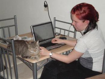 Bollie allways keeps me company - When we just moved into our apartment I kept my laptop on our small dinner table. Bollie found out that this was an ideal place to lie down as it is warm and it gives you instant access to lots of cuddles :-) I now have my laptop on my desk, but it sure was a lot cosier in those weeks (even though he is allways around when I am working at my desk too... lol)