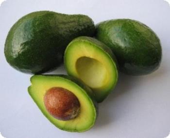 avocado - delicious avocados