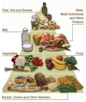 the diabetic diet - the diabetic diet is really nothing more than eating health.