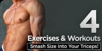 triceps workouts - smash size into your triceps