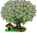 Money Tree - My future money tree