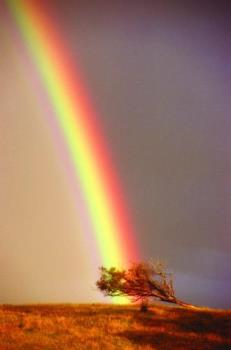 rainbow - A rainbow is a variously colored bow-shaped optical illusion that might appear up in the sky on a rainy day. 