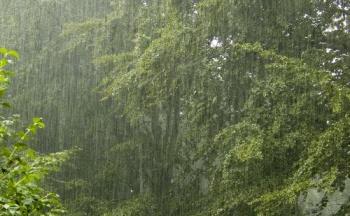 Rain - I love rainy days. It&#039;s cool. I love to play in the rain with my family. :)