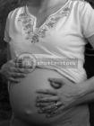 pregnancy - pregnant