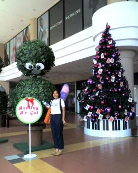 Christmas - Christmas Tree and Deco at the mall.