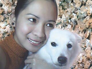 My Lover Dog - I love my male Japanese Spitz. Codie is the Name.
