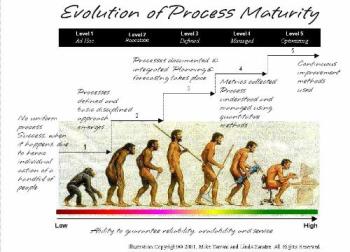 Maturity - Evolution of how life matures