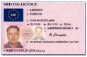 driving licence - having driving licence