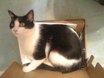 Blossom in a box - when she was about a year old