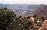 Travel - The Grand Canyon is one of the exquisite sights that one must not miss while in the US