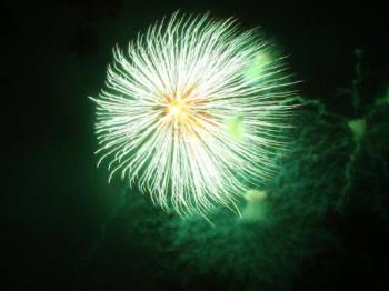 Firework captured from Argao - firework display during the new year eve celebration in Argao, Cebu.