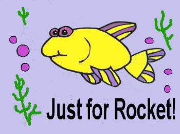 yellow fish - enjoy! yellow fish - enjoy!