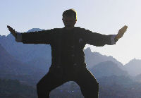 tai chi picture - Very relaxing tai chi pose.