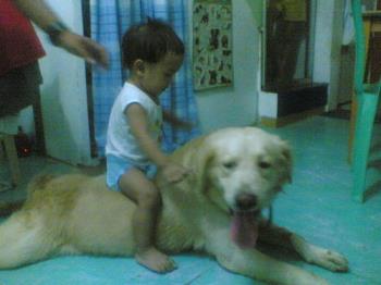 sumo and kichiro - that&#039;s my dog sumo there, and my youngest son kichiro